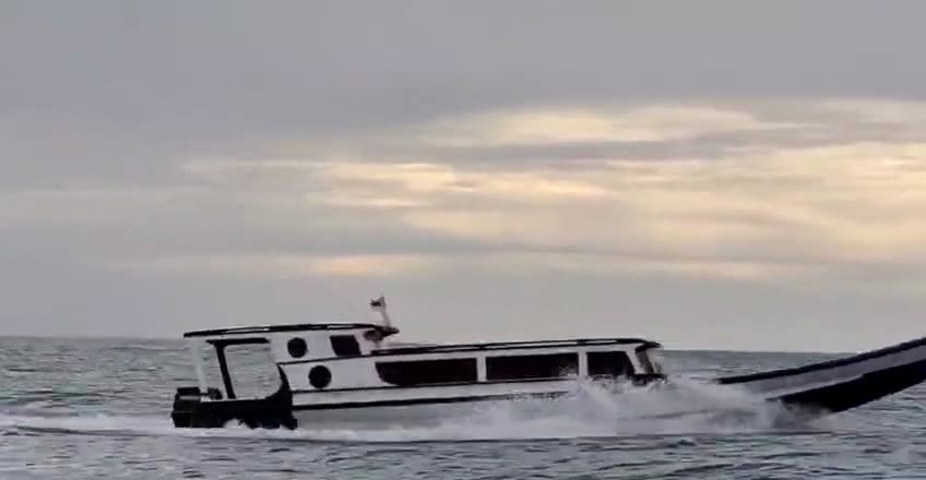 Tuapejat Thunderboat, foto 1